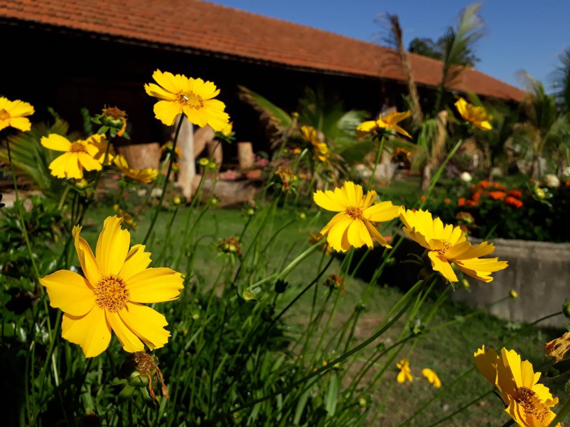 Parque Paraiso Das Flores Оламбра Экстерьер фото
