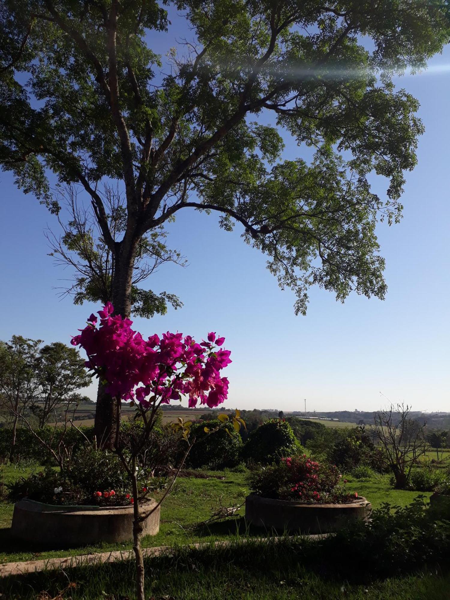 Parque Paraiso Das Flores Оламбра Экстерьер фото